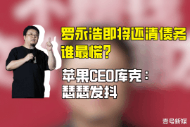 长宁区长宁区的要账公司在催收过程中的策略和技巧有哪些？